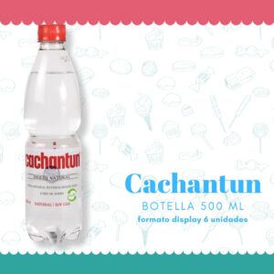 Agua mineral Cachantún 500 ml sin gas